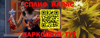 мдпв Рузаевка