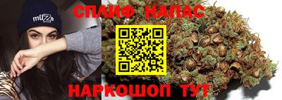 мдпв Рузаевка