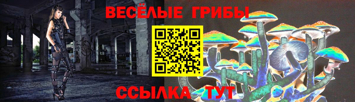 Нижневартовск  Галлюциногенные грибы ЛСД  Вход с VPN 